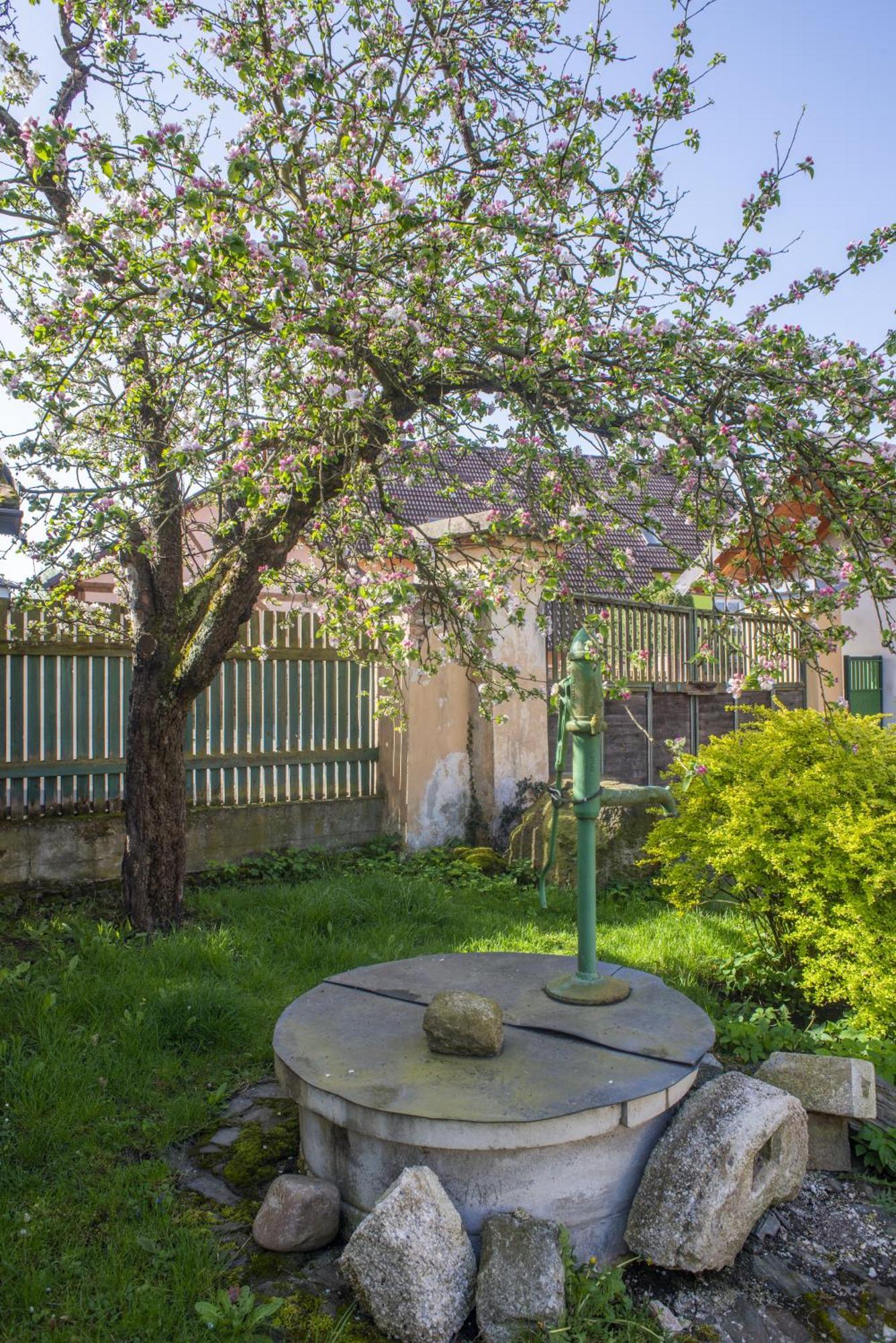 Appartamento Mlyn-Osvracin Esterno foto