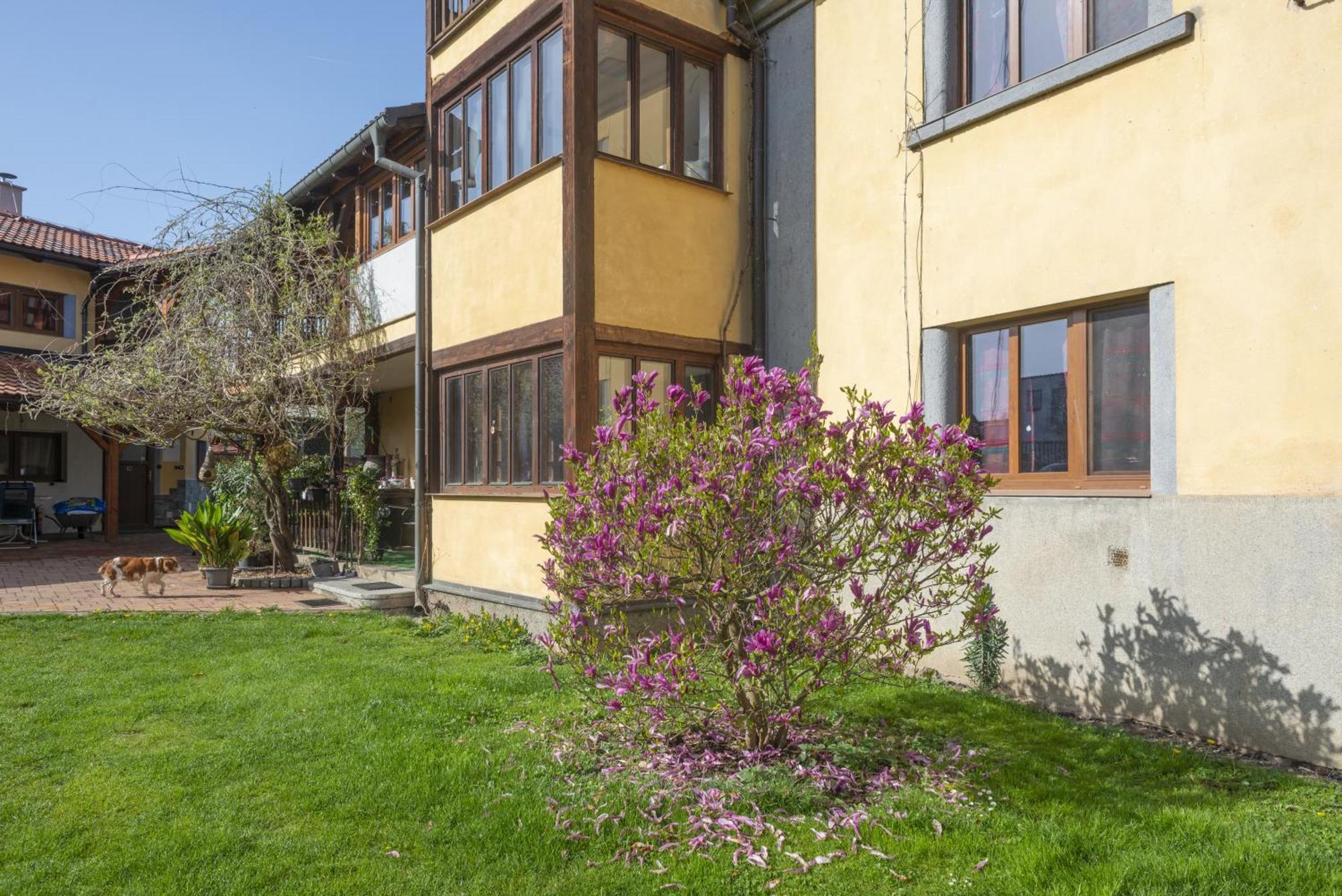Appartamento Mlyn-Osvracin Esterno foto