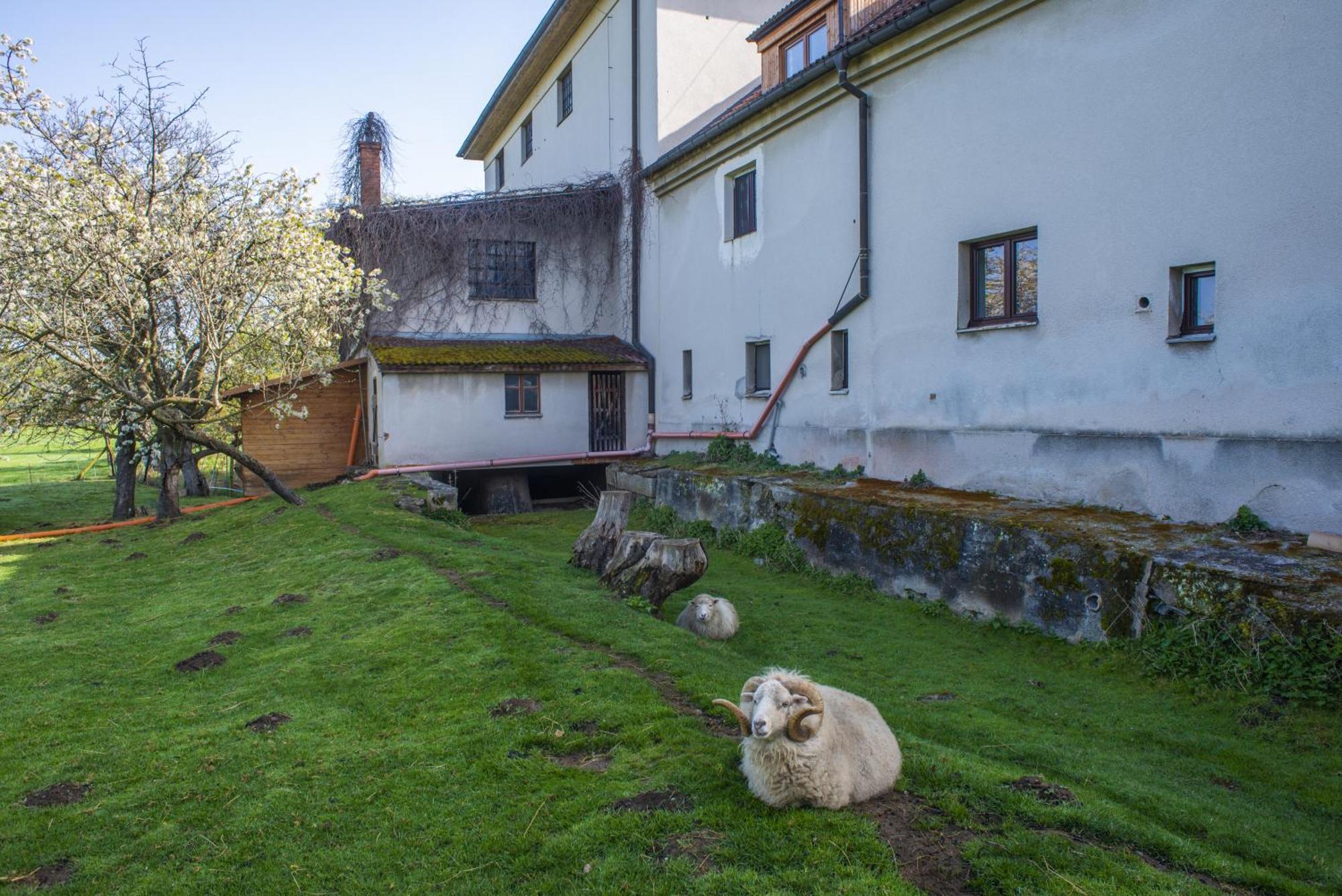 Appartamento Mlyn-Osvracin Esterno foto
